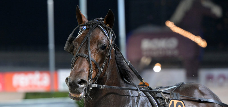 FRANKRIG - Nu fire svensktrænede heste med i PDA