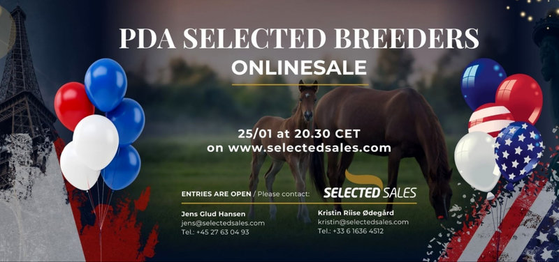 AUKTION - HUSK at auktionerne på SelectedSales.com lukker i aften