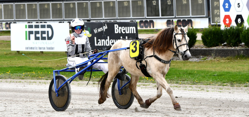 Dansk Hestevæddeløb informerer - Ny struktur i ungdomssporten