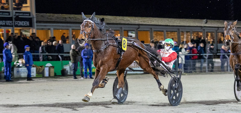 Tipsanalyser Bet25 & baneprogrammet - ALLE LØB - Lunden søndag 1. februar