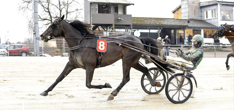 STATISTIK JANUAR - Jan Friis lidt overraskende i front af trænerligaen