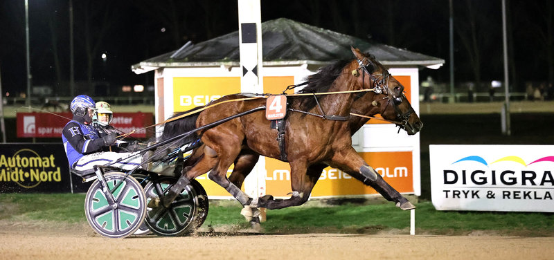 Tipsanalyser Bet25 & baneprogrammet - ALLE LØB - Aalborg mandag 9. februar