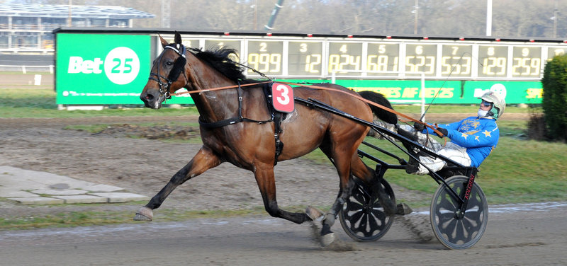 STARTLISTER - Aarhus fredag - Donovan Face jagter stakit