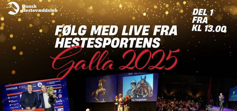 Hestesportens Galla - følg med live på Youtube og Facebook