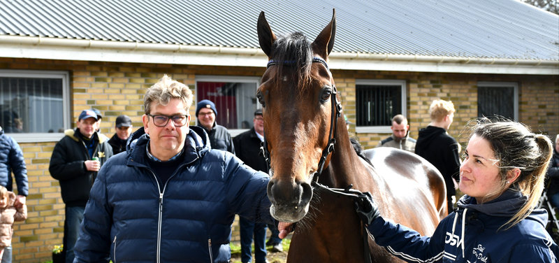 AVLSHINGST - Keld Gregersen klar med nyt kampagnetilbud på Dumbo