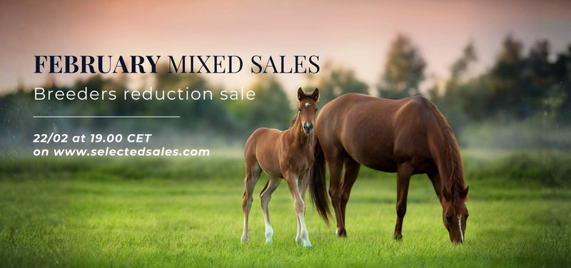 AUKTION - Selected Sales er snart klar med en ny auktion - tilmelding åben