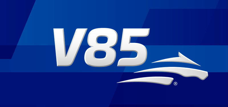 V85 Bergsåker lørdag 21. februar - "5 tippar V85"