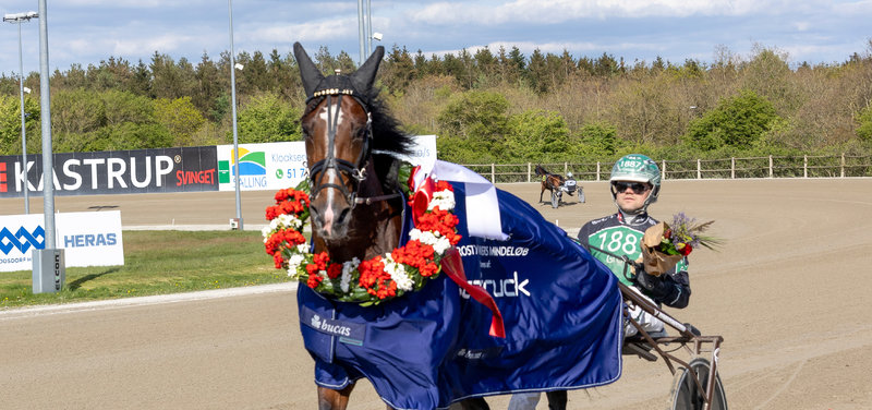 Forest Jet efter en sejr i Skive med Nicklas Korfitsen. Søndag på Lunden kører René Kjær.