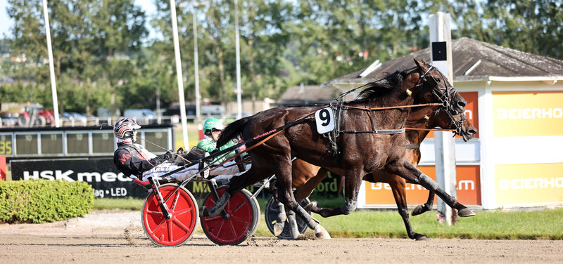 Black Mountain har klar vinderchance fredag eftermiddag i Odense i montéløbet.