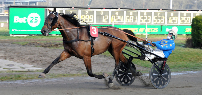 Tipsanalyser Bet25 & baneprogrammet - ALLE LØB - Aarhus fredag 6. marts