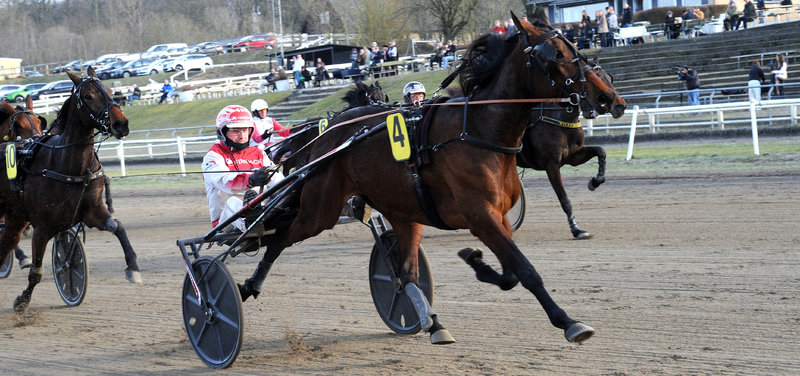 Aarhus fredag - Første afkomssejr til Chapter Seven-sønnen Classichap