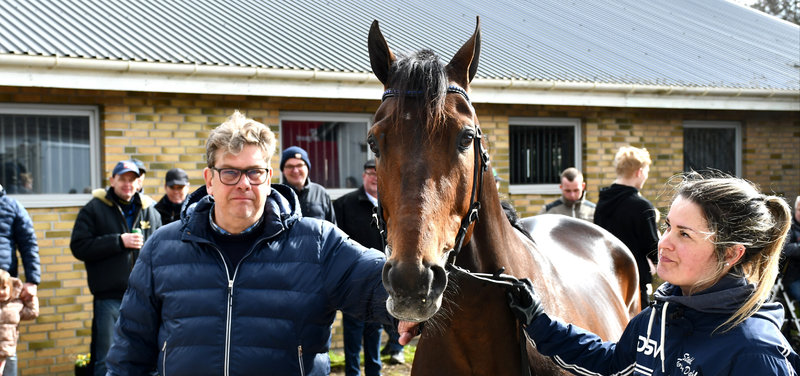 FØLNYT - Dumbo-føl til Stutteri Disney