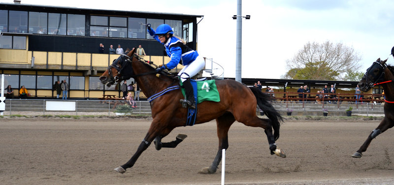 JÄGERSRO tirsdag - Masser af dansktrænede heste til start