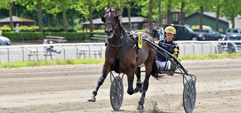 BREAKING - Kung Fu Dot Com til Kim Pedersen i Sverige