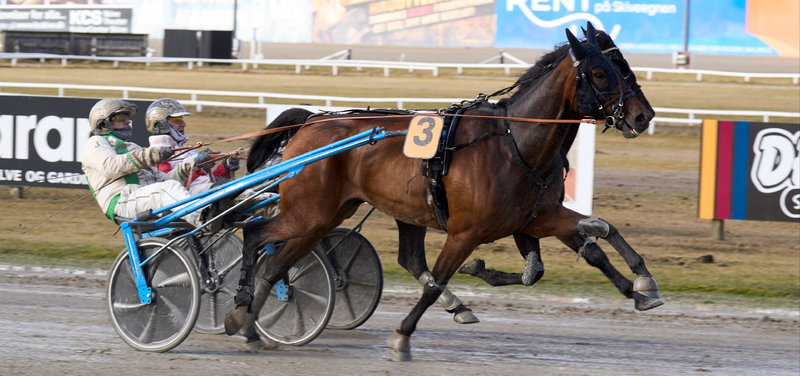 Hoppe Derby-vinder skifter træningskvarter igen