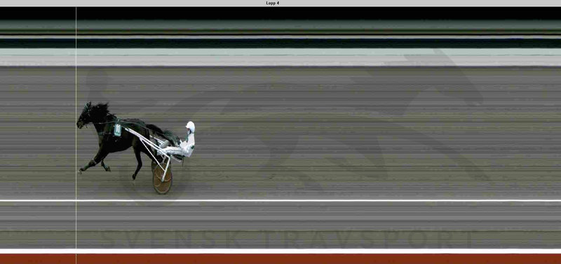 SVERIGE - Overlegen sejr til Panamera Racing-opdrættede Kong Venience på Åby