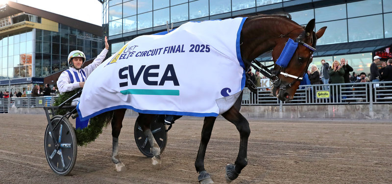 ELITLOPPET - Det franske monster Inexess Bleu inviteret som hest nummer to