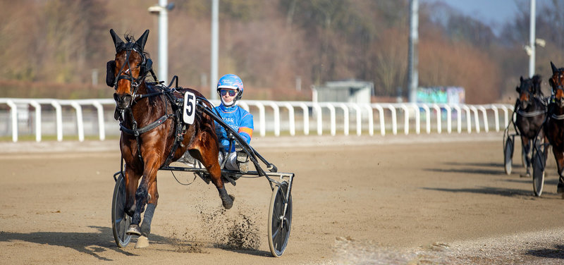 Tipsanalyser Bet25 & baneprogrammet - ALLE LØB - Skive mandag 23. marts