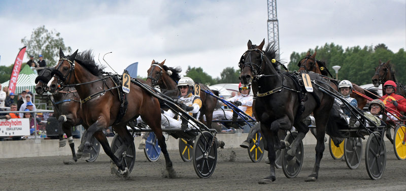 V85-finaler Solvalla lørdag 28. marts - Spændende danskere og "danskere" til start