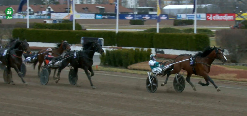 SVERIGE - Sejr til Wise Guy i sæsondebuten - matches nu mod Kongepokalen