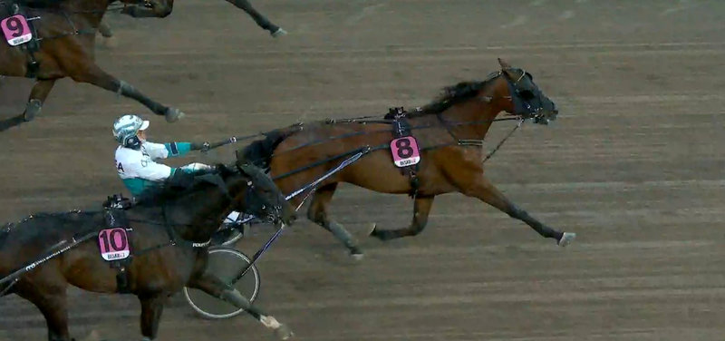 SVERIGE - Danskopdrættede INDY BOY vandt V85-finale på Solvalla