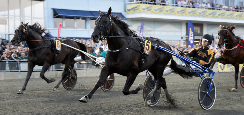 SVERIGE - Gio Cash i sæsondebut på Romme på dagen med V85-multijackpot