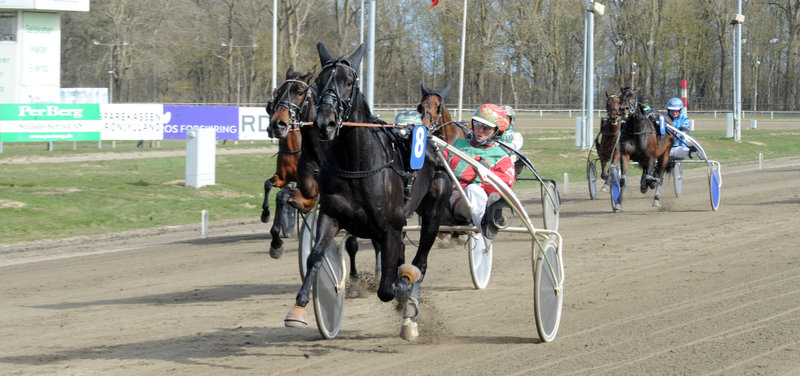 AARHUS - Det var "Juuleaften" i april måned i Smilets By
