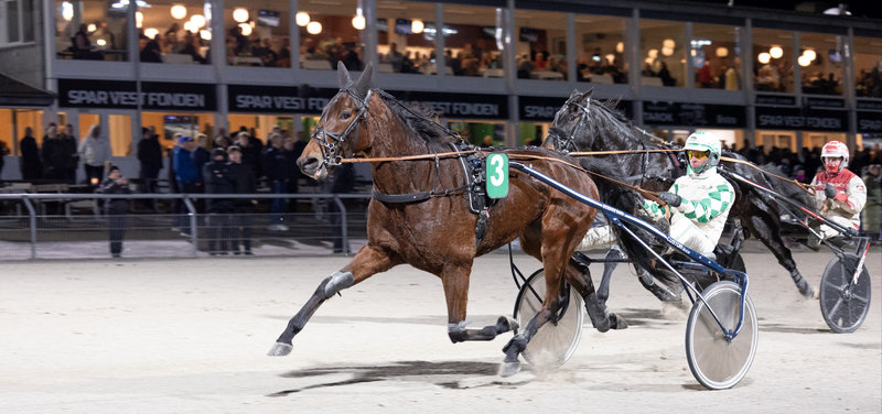 Tipsanalyser til alle løbene - AALBORG 2. Påskedag mandag 6. april