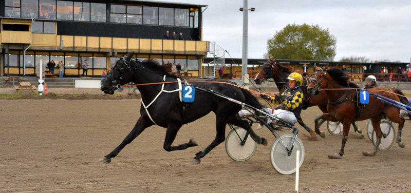 STARTLISTER - Nykøbing Falster Travbane klar til sæsondebut på søndag