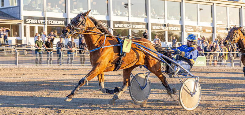 AUKTION PÅ MUSKETERDAGEN - deadline for tilmelding er i dag