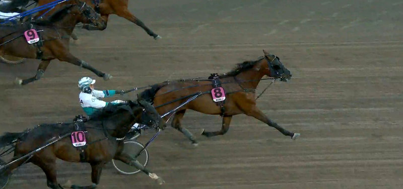 V85 lørdag 11. april på Jägersro med stor jackpot - Spændende danskere til start