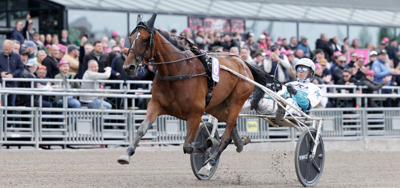 ELITLOPPET - Daniel Redén-trænede Allegiant udtaget som femte hest