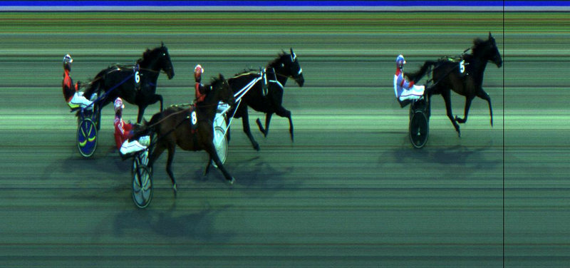 NORGE - Sejr til Stald Masiols Duke Of Walner i debuten i Frode Hamres regi