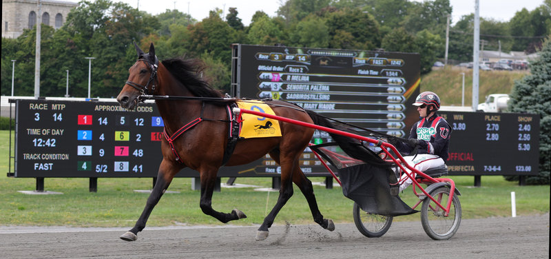 SVERIGE - Derbyvinderen Get A Wish i comeback i Sverige på lørdag