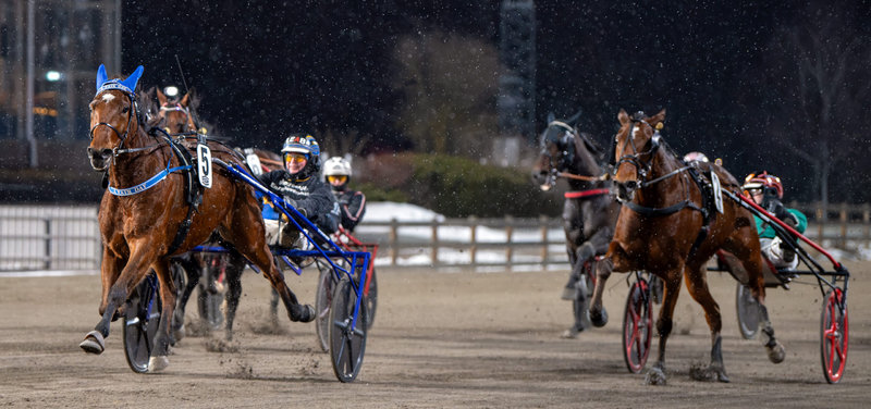 SVERIGE - A Fair Day skal ud på dobbelt Elitlopps-distance lørdag på Örebro
