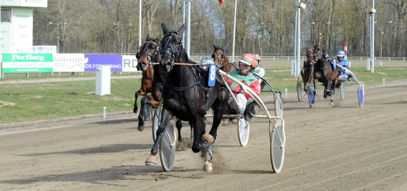 STARTLISTER - Odense med kombidag fredag med otte travløb og to galopløb