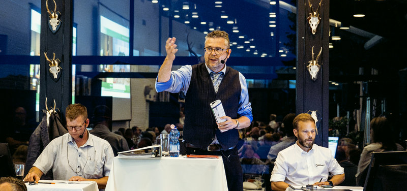 DERBYAUKTION - Fredag udgår - Alle heste sælges lørdag