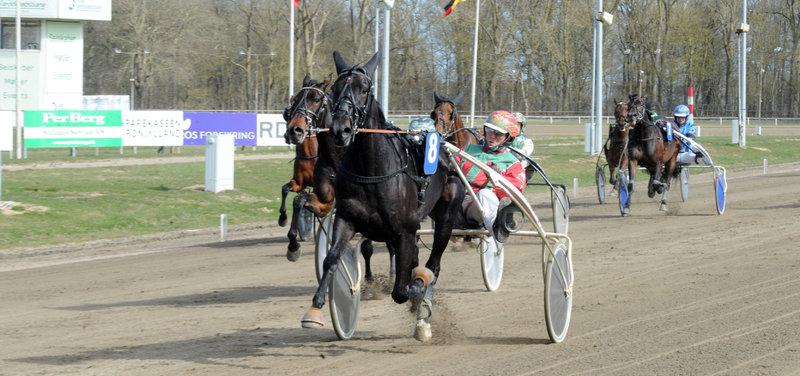 Tipsanalyser til alle løbene - ODENSE fredag 24. april