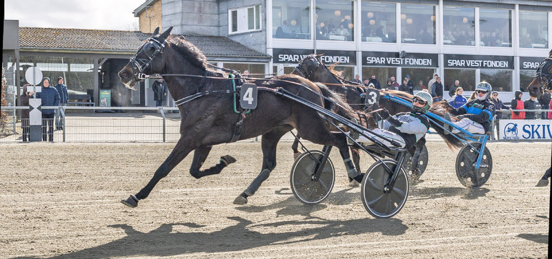 MUSKETERDAG - Interview med Skive-træner Kasper Foget
