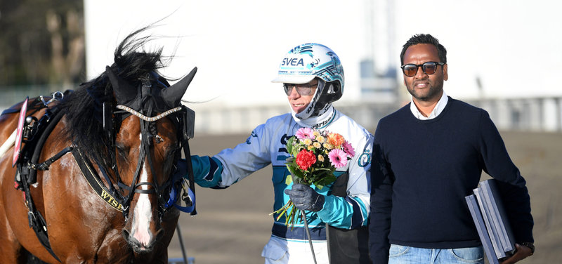 SVERIGE: Danskopdrættede Wise Guy videre til finalen i Kongepokalen