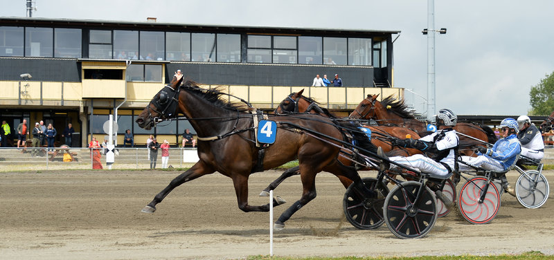 Tipsanalyser til alle løbene - NYKØBING FALSTER lørdag 25. april