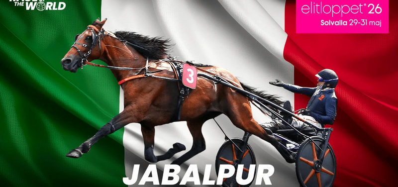 ELITLOPPET - Jabalpur blev den ottende hest i årets udgave af Elitloppet