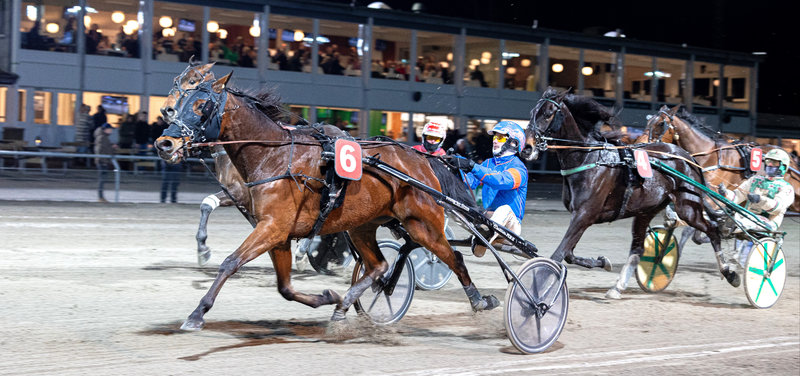 AUKTION - Rolf Jørgensens Daniel Autriche solgt for 75.000 SEK på Travera