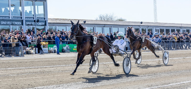 COPENHAGEN CUP - Wildcard uddelt til Hustle Rain efter banerekordløbet