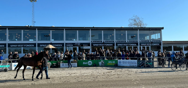 Musketerauktion - To salg ud af syv auktionsheste