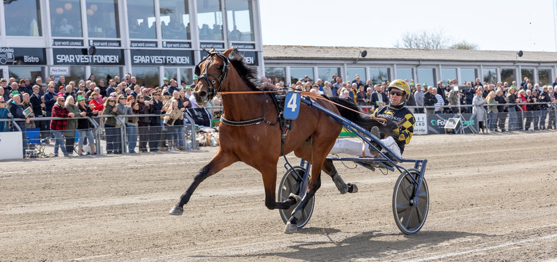 MUSKETERDAG - Menza i den forventede opvisning - satte oddsrekord i 2026