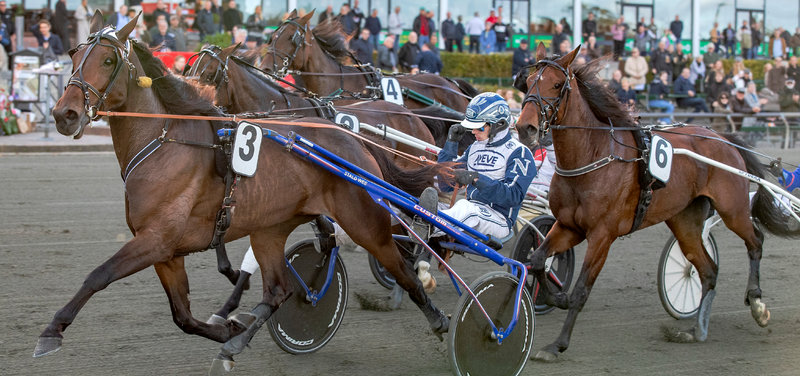 STARTLISTER - Aalborg fredag - Lipa Wee i sæsondebut