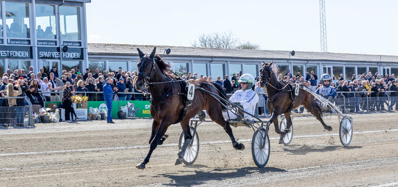 MUSKETERDAG - Bet25 Live klar med en "Aftermovie" med det bedste fra dagen