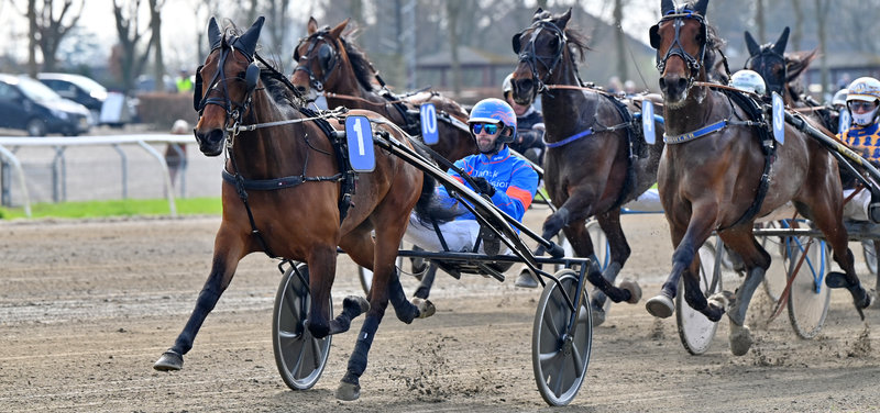 STARTLISTER - Skive med V65-løb onsdag - Manifeellikeawomand til start