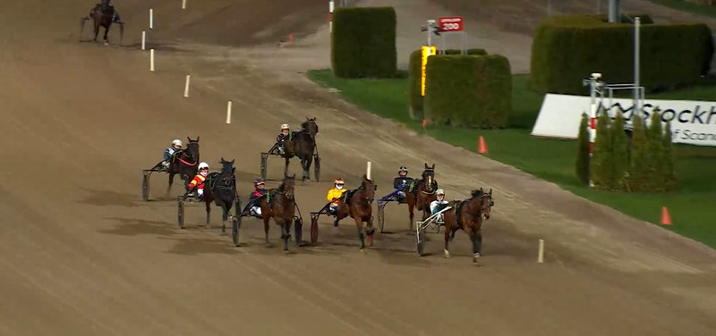 SVERIGE - MaigaardLovesCosta galopperede topplacering væk i Breeders Course-kval